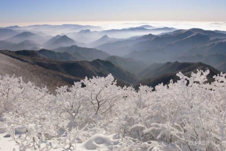 seasons in korea	